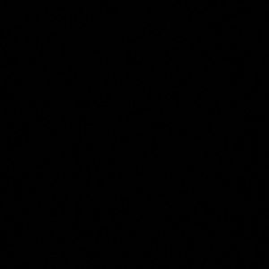 Meet your Posher, Staecy